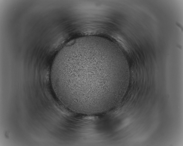 X0000091370499200708241337