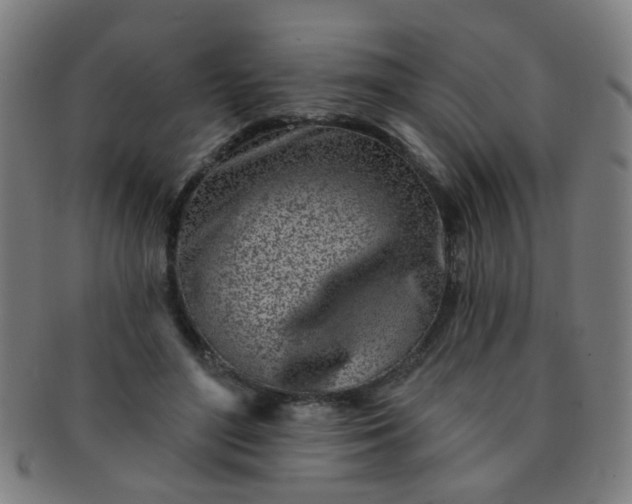 X0000091370500200708241337