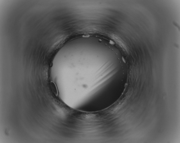 X0000091370501200708241337