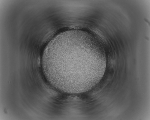 X0000091370502200708241337