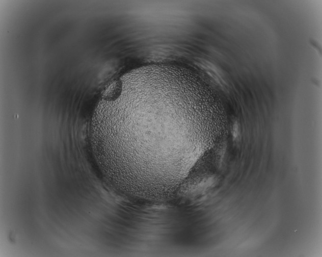 X0000091370503200708241337