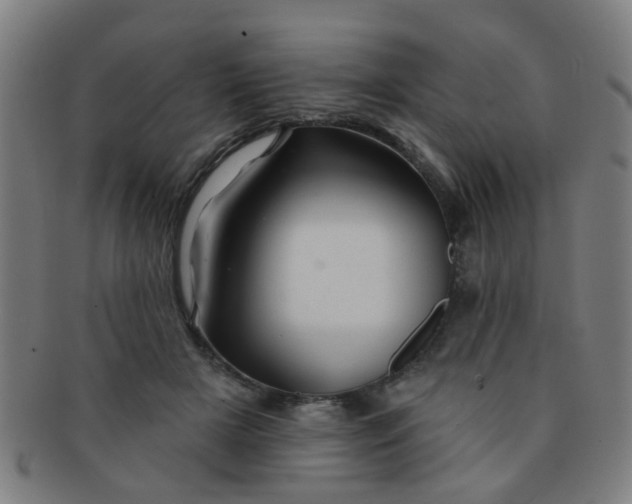 X0000091370505200708241337