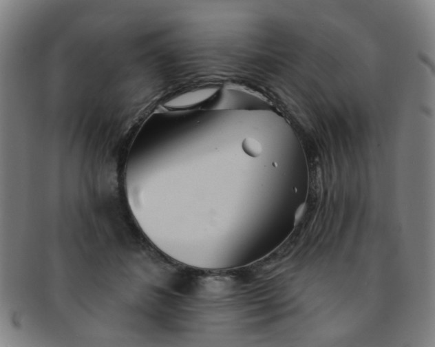 X0000091370508200708241337