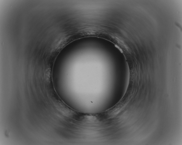 X0000091370509200708241337