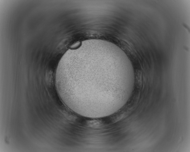 X0000091370511200708241336