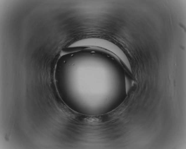 X0000091370512200708241336