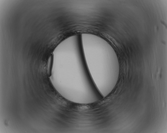 X0000091370513200708241336