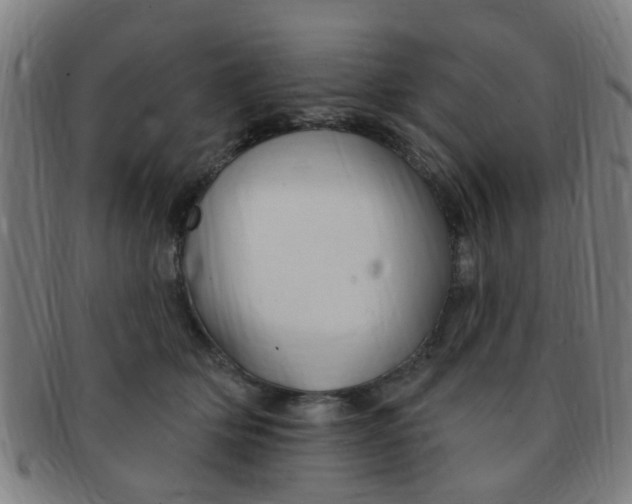 X0000091370514200708241336