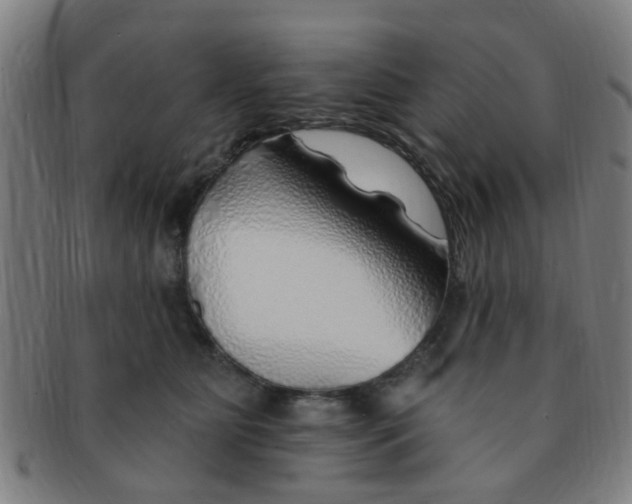 X0000091370515200708241336