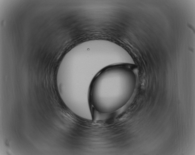 X0000091370516200708241336