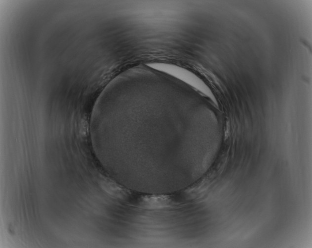 X0000091370517200708241336