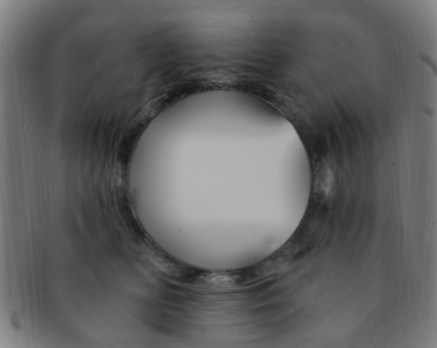 X0000091370518200708241336