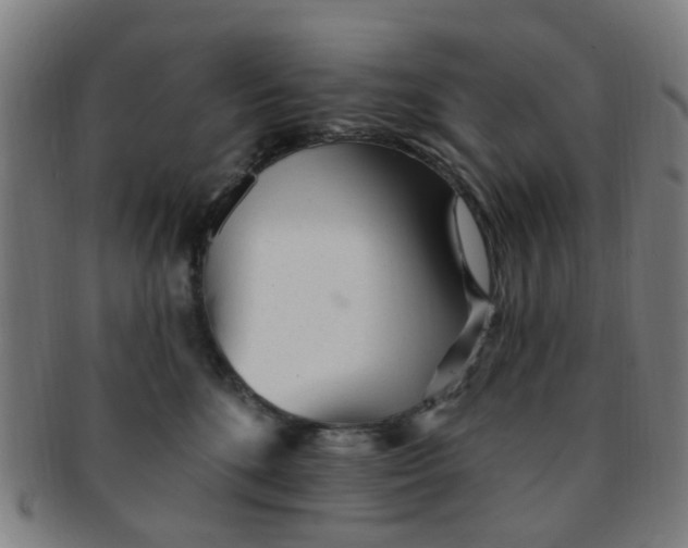 X0000091370520200708241336