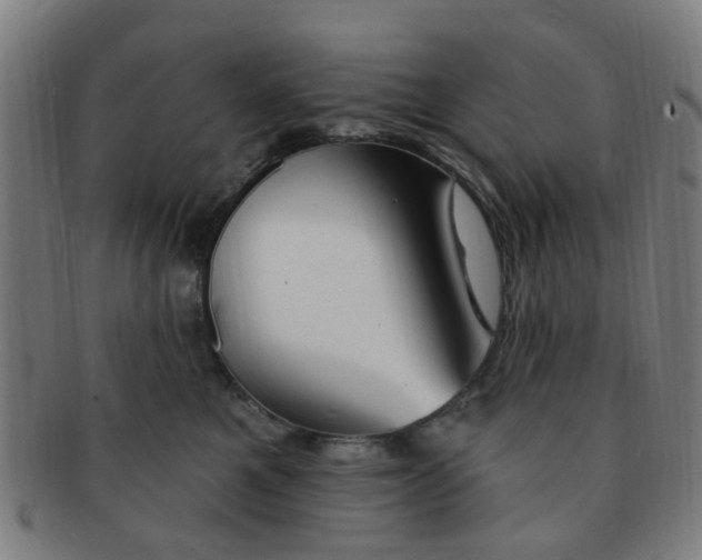 X0000091370521200708241336