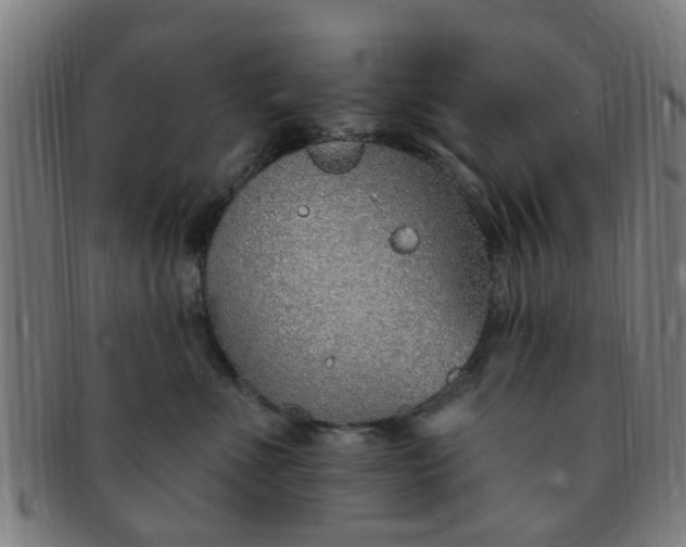 X0000091370523200708241336