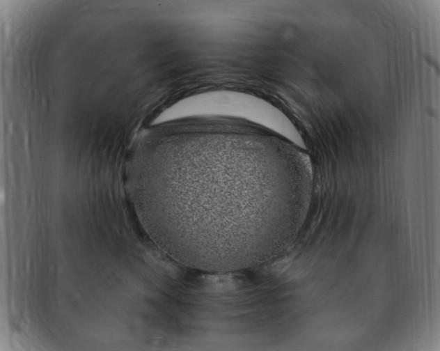 X0000091370524200708241336