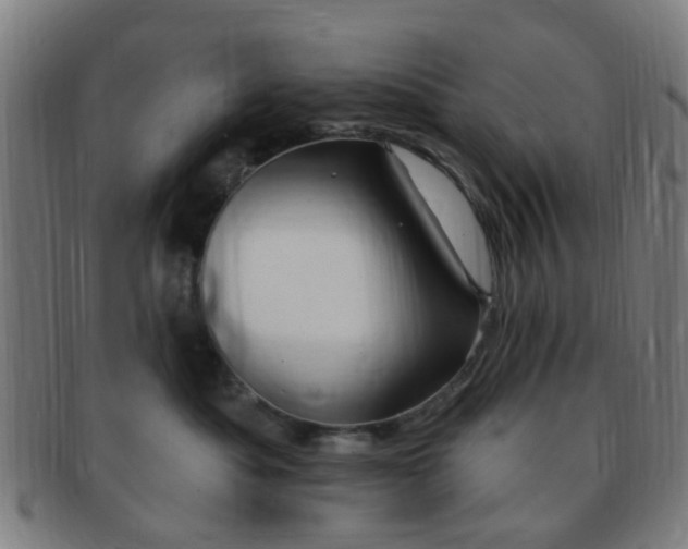 X0000091370525200708241336