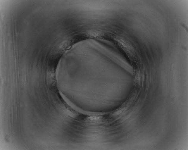 X0000091370526200708241336