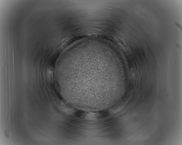 X0000091370527200708241336