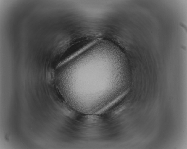 X0000091370528200708241336