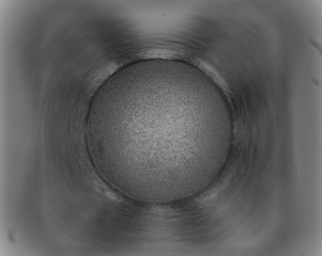 X0000091370529200708241335