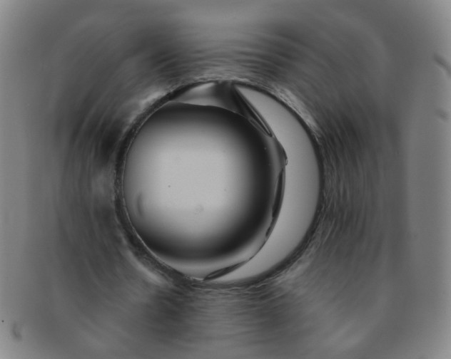 X0000091370530200708241335