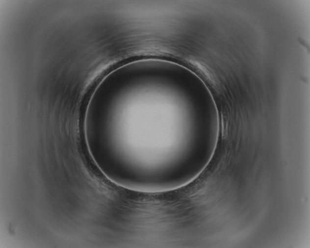 X0000091370531200708241335