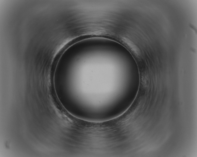 X0000091370532200708241335