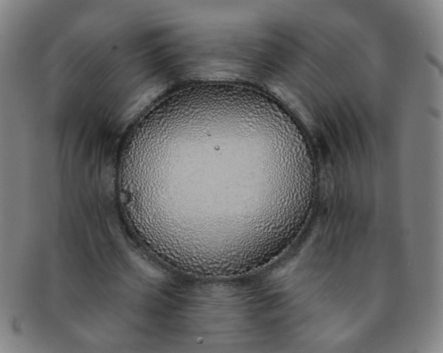 X0000091370533200708241335