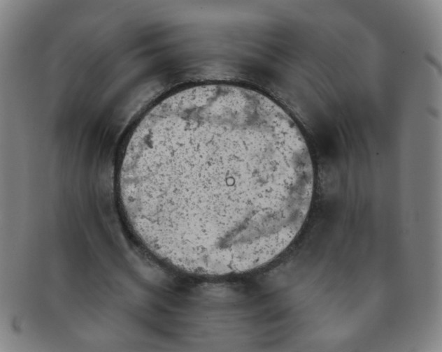 X0000091370534200708241335