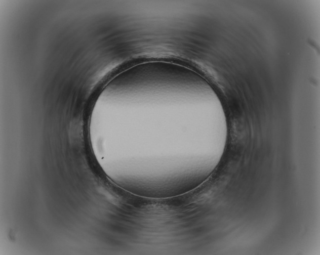 X0000091370535200708241336