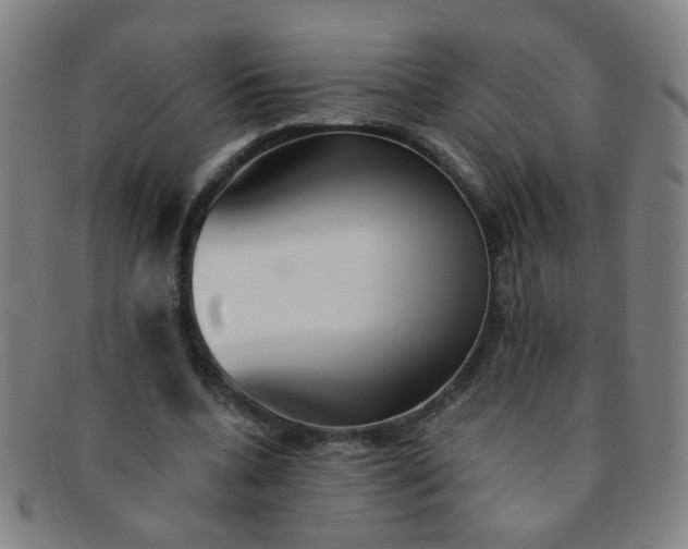 X0000091370536200708241336