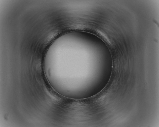 X0000091370538200708241336