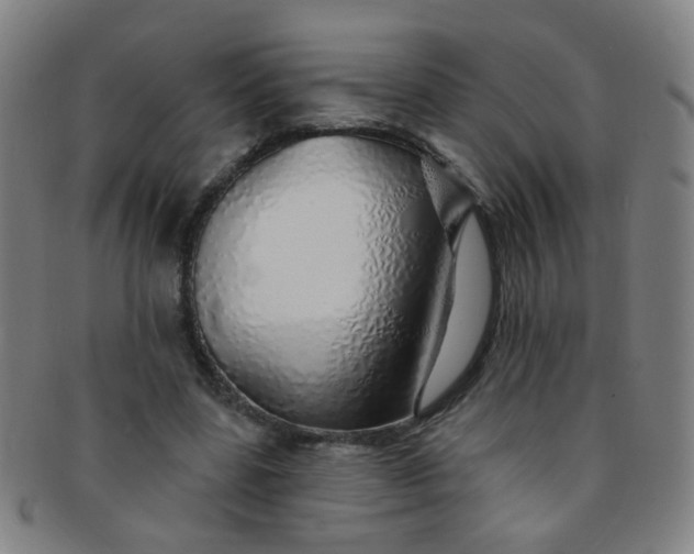 X0000091370539200708241336