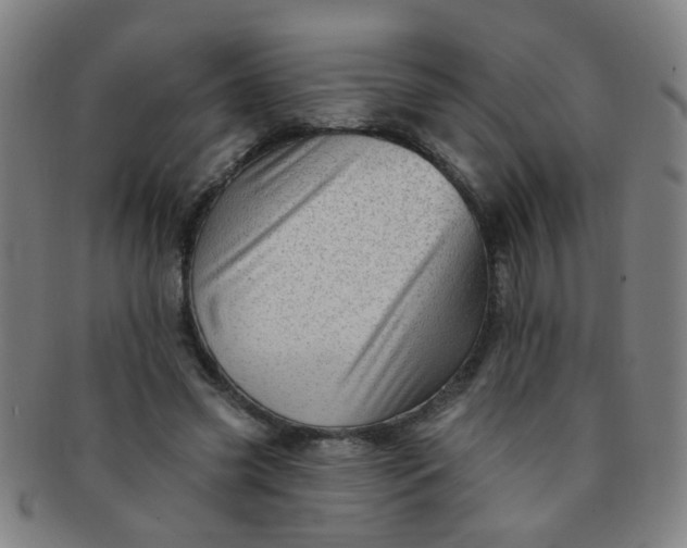 X0000091370541200708241336