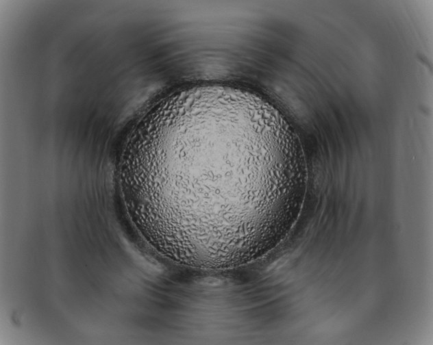 X0000091370542200708241336