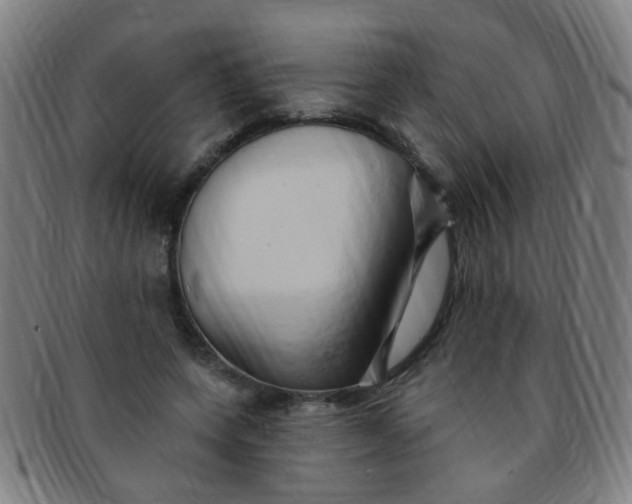 X0000091370543200708241336