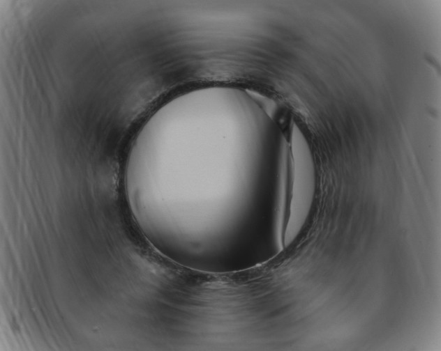 X0000091370544200708241336