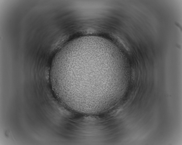 X0000091370545200708241336