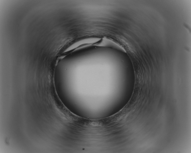 X0000091370546200708241336