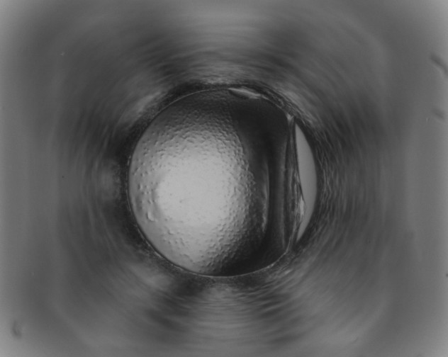 X0000091370547200708241336