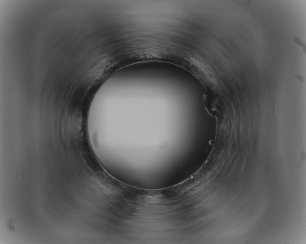 X0000091370548200708241336