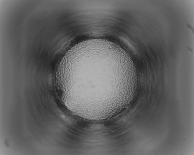 X0000091370549200708241336