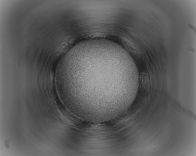 X0000091370550200708241336