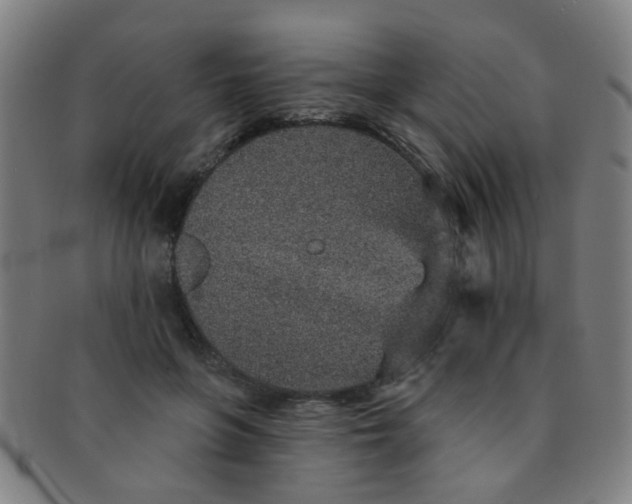 X0000091370551200708241336