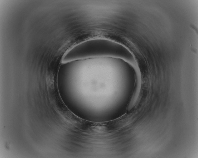 X0000091370552200708241336