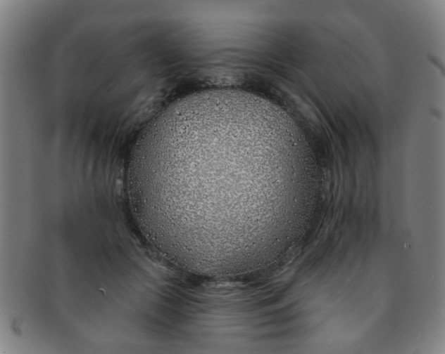 X0000091370553200708241336