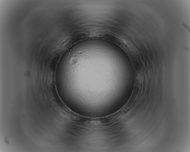 X0000091370554200708241336