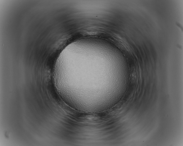 X0000091370555200708241336