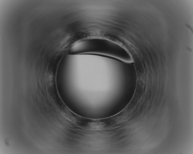 X0000091370556200708241336